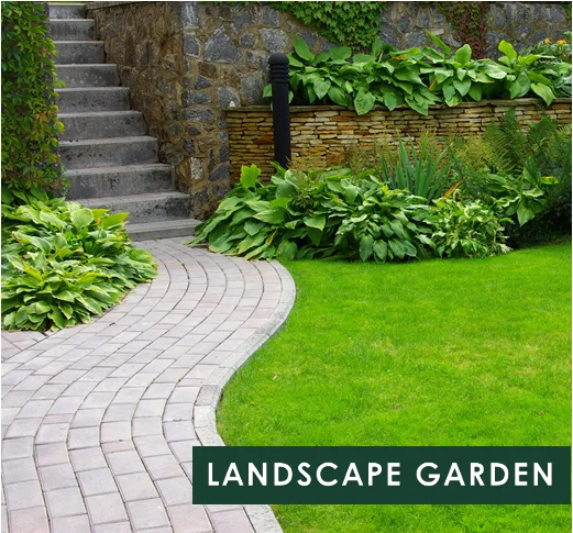 Screenshot-2026-03-14-163606